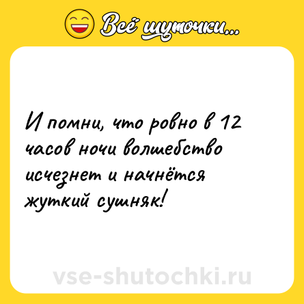 Шутка: И помни, что ровно в 12 часов ночи волшебство исчезнет и начнётся жуткий сушняк!