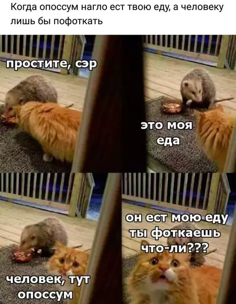 Смешная картинка №268578