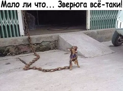 Смешная картинка №387372