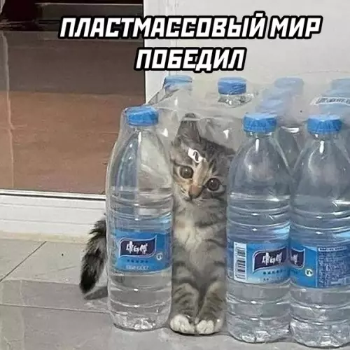 продолжение Смешная картинка №600834