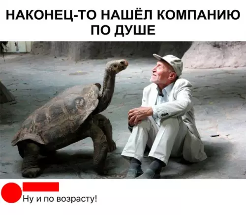 Смешная картинка №344971
