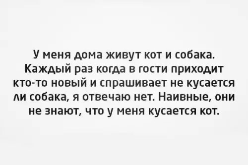 Смешная картинка №173968