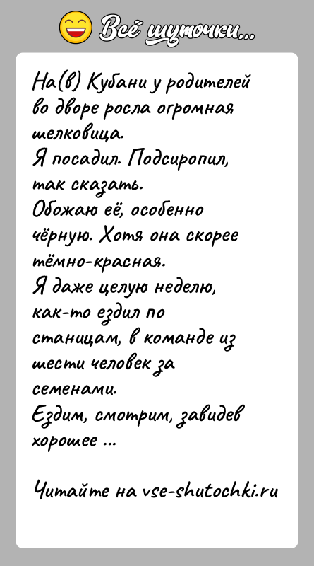 История: На(в) Кубани у родителей во дворе росла огромная шелковица.Я посадил. Подсиропил, так сказать.Обожаю её, особенно чёрную. Хотя она скорее тёмно-красная.Я