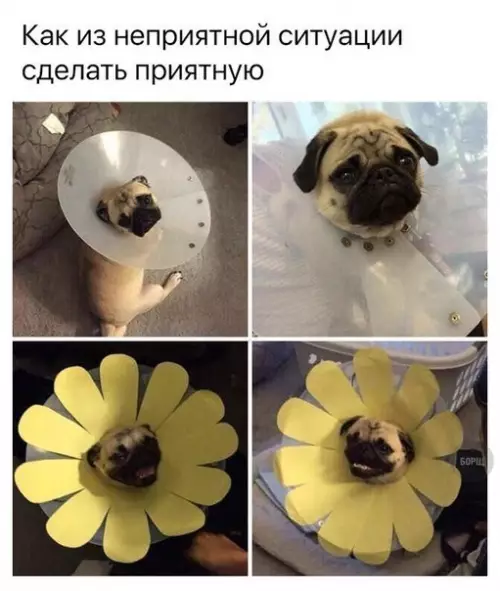 Смешная картинка №247172
