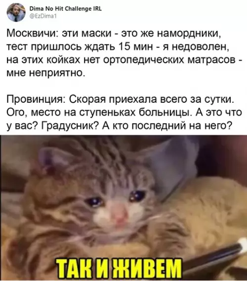Смешная картинка №534505 Вся суть