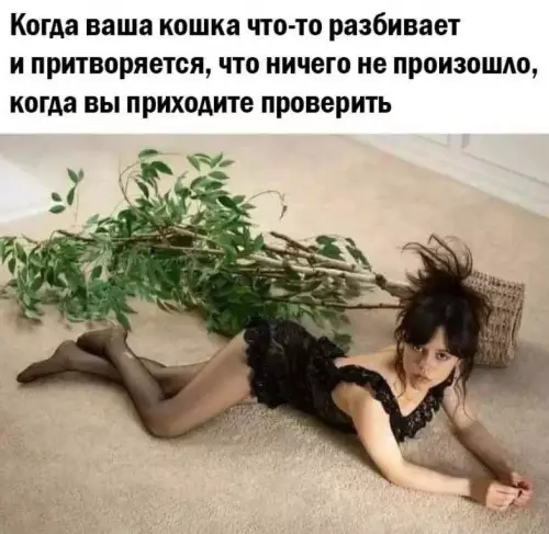 Смешная картинка №684688