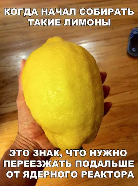 Смешная картинка №257709