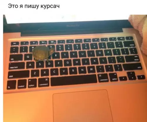 Смешная картинка №229250