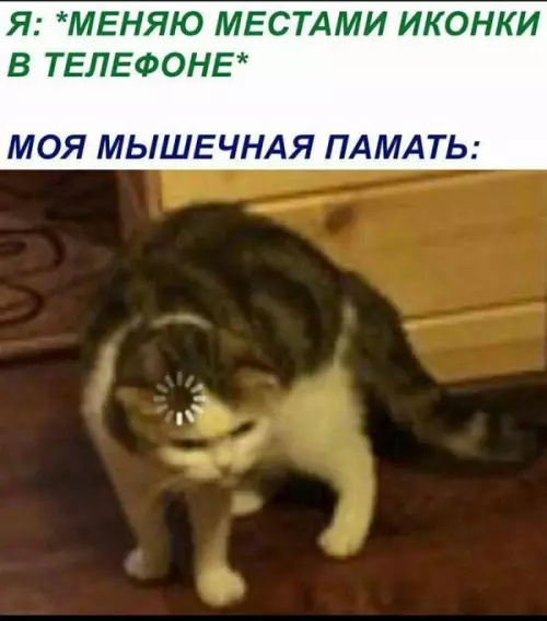 Смешная картинка №660797 телефон