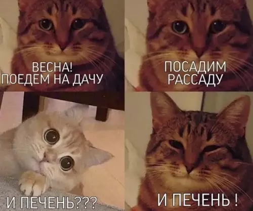 Смешная картинка №490792