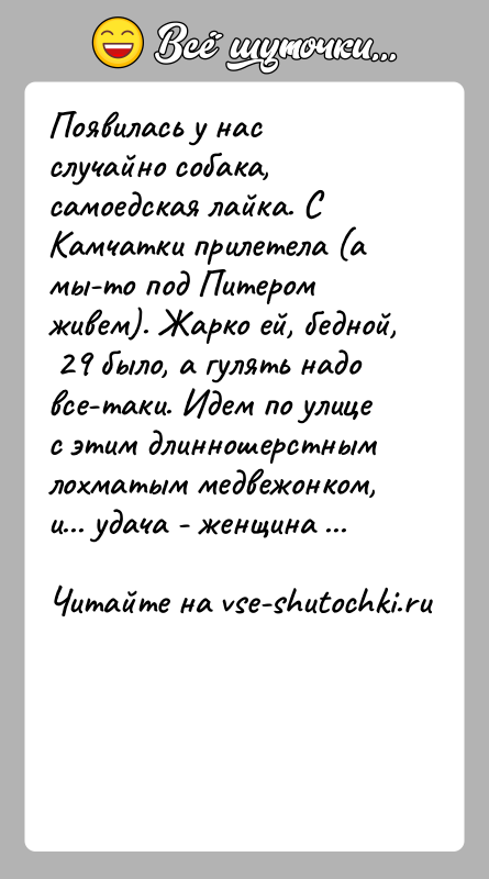История: Появилась у нас случайно собака, самоедская лайка. С Камчатки прилетела (а мы-то под Питером живем). Жарко ей, бедной, 29