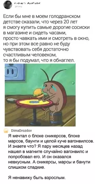 Смешная картинка №536519 Сбылась мечта идиота, а счастья всё нет (С) Остап Бендер