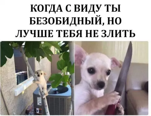 Смешная картинка №238012