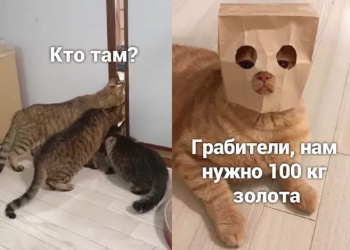 Смешная картинка №686929