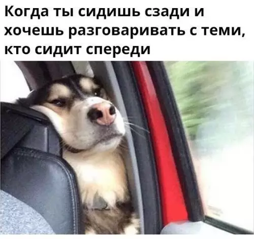 Смешная картинка №254533