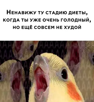 Смешная картинка №651265