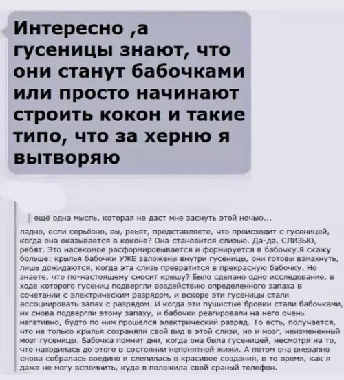 Смешная картинка №312405 Тема для размышлений