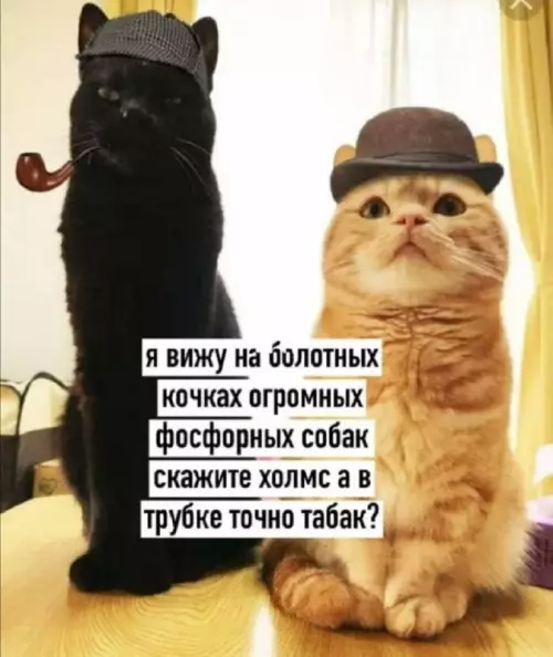 Смешная картинка №664140