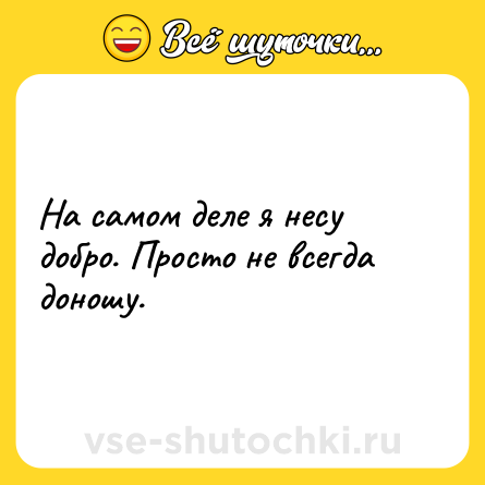 Шутка: На самом деле я несу добро. Просто не всегда доношу.
