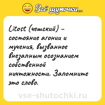 Шутка: Litost (чешский) – состояние агонии и мучения, вызванное внезапным осознанием собственной ничтожности. Запомните это слово.