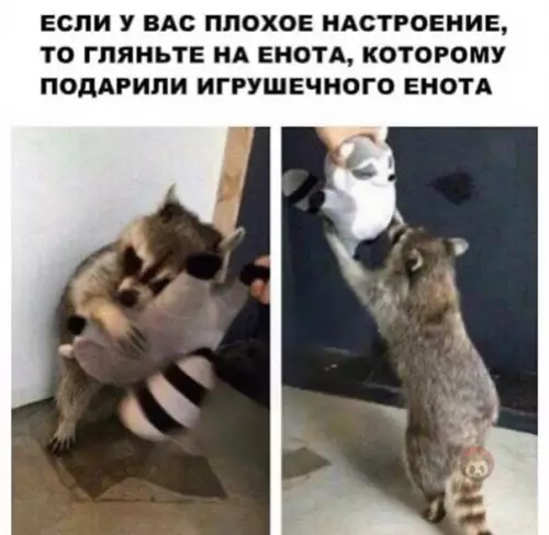 Смешная картинка №512111 Это самое милое, что вы увидите за сегодня ?