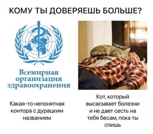 Смешная картинка №736332 Выбор очевиден  Коты