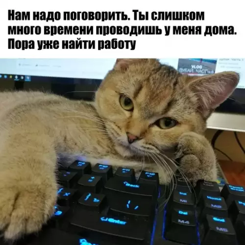 Смешная картинка №759077