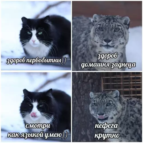 Смешная картинка №717038