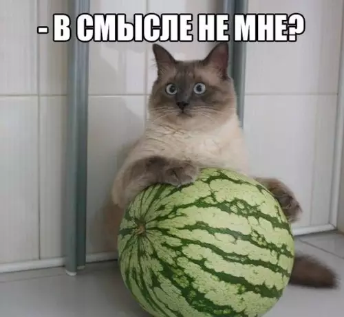 Смешная картинка №197449