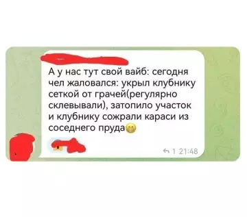 Смешная картинка №822315 Дача