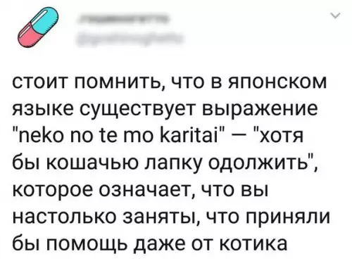 Смешная картинка №236547
