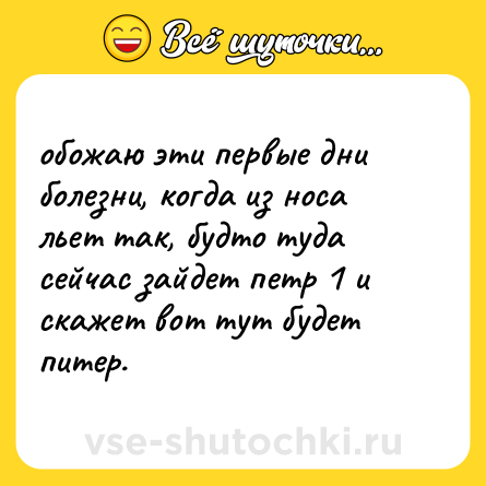 Шутка: обожаю эти первые дни болезни, когда из носа льет так, будто туда сейчас зайдет петр 1 и скажет вот тут будет питер.