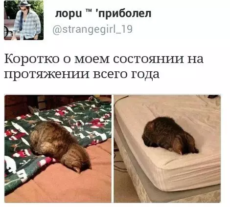 Смешная картинка №359561