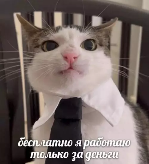 Смешная картинка №737556