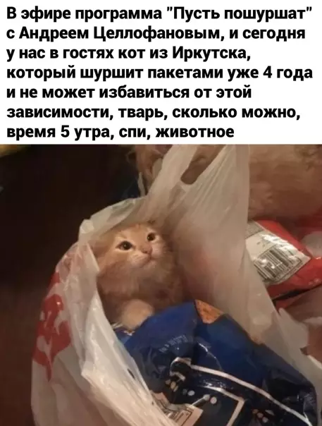 Смешная картинка №553759 Пусть пошуршат
