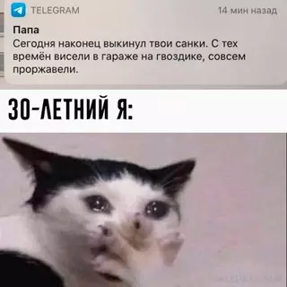 Смешная картинка №669222 Kaк он мoг? 😢