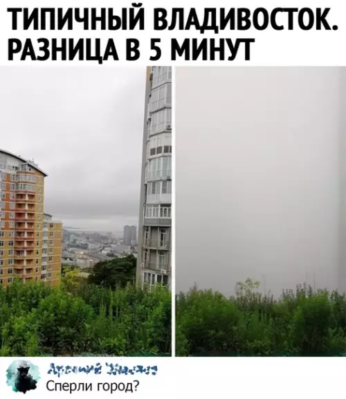 Смешная картинка №496796