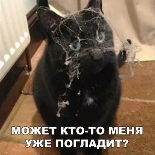 Смешная картинка №244691