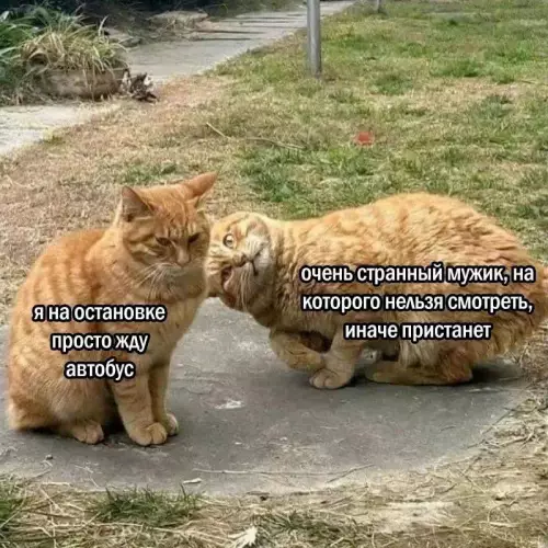 Когда на остановке не повезло 🙀🚌 - я на остановке просто жду автобус очень странный мужик, на
