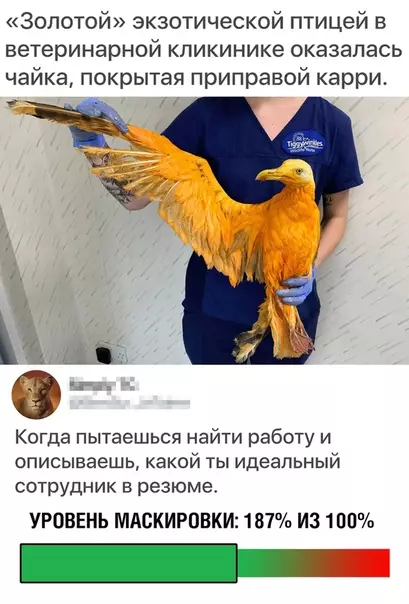 Смешная картинка №369183