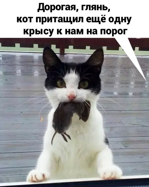 Смешная картинка №573358