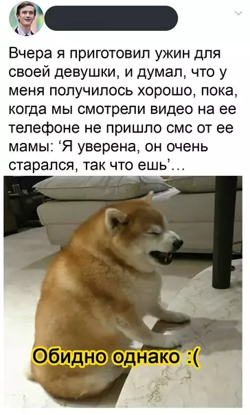 Смешная картинка №582221 Tы пытaлcя
