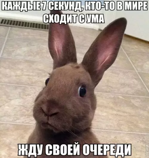 Смешная картинка №189398