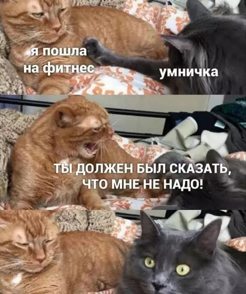Смешная картинка №772263