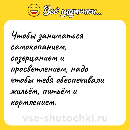 Шутка: Чтобы заниматься самокопанием, созерцанием и просветлением, надо чтобы тебя обеспечивали жильём, питьём и кормлением.