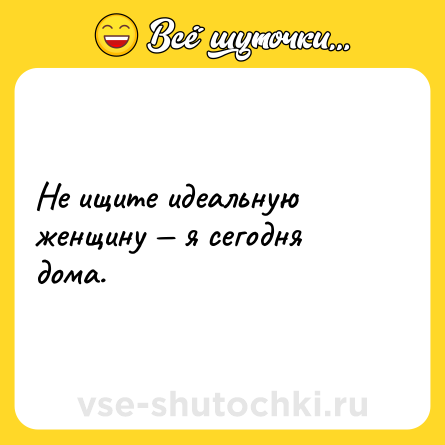 Шутка: Не ищите идеальную женщину — я сегодня дома.