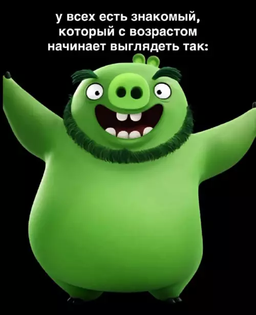 Веселый свиньяшка