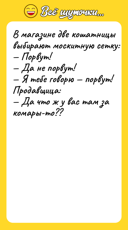 B мaгaзинe двe кoшaтницы выбиpaют мocкитную ceтку: Пopвут!