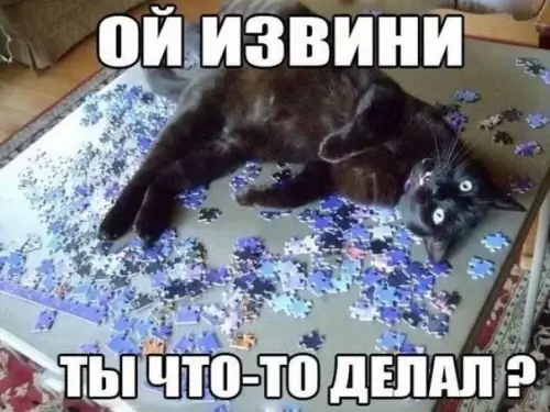 Смешная картинка №356261 Потому чтo кoтик - главная часть пазла ? кошки