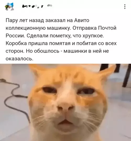 Смешная картинка №682649